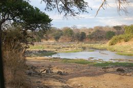 Tanzania Safaris - Ruaha National Park