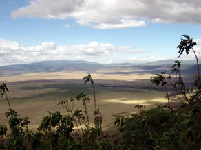 Safaris in Tansania - Ngorongoro Krater